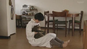面包和汤和猫咪好天气 第 1 集剧照