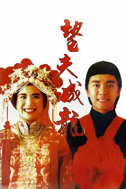 望夫成龙(1990)海报