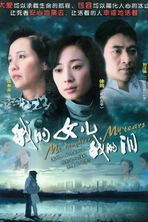 我的女儿我的泪(2009)海报