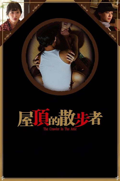 屋顶的散步者(2016)海报