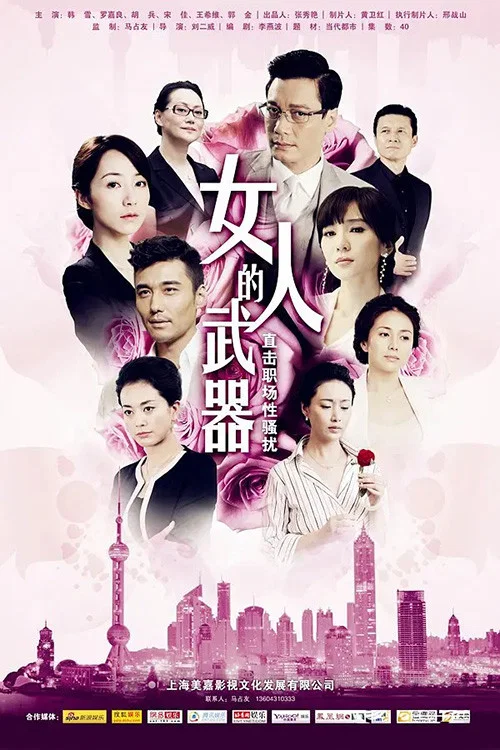 女人的武器(2012)海报