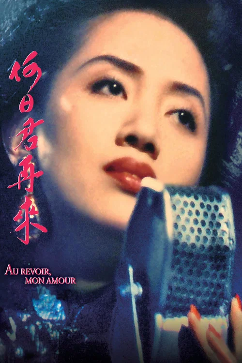 何日君再来(1991)海报