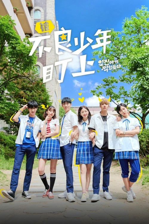 被不良少年盯上(2019)海报