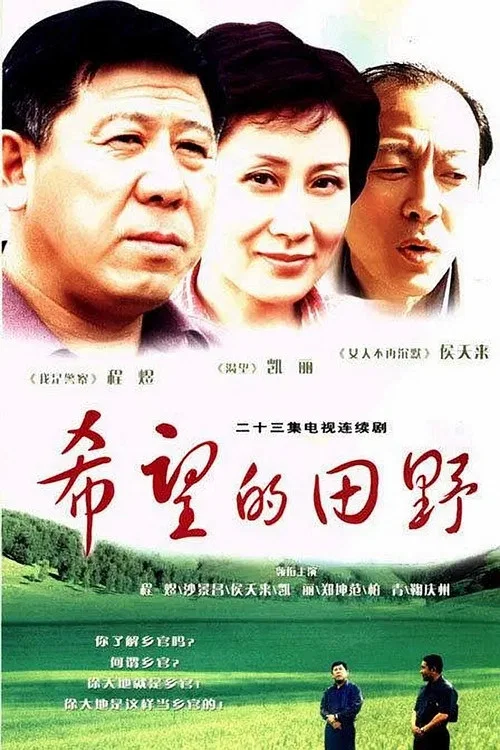 希望的田野(2003)海报