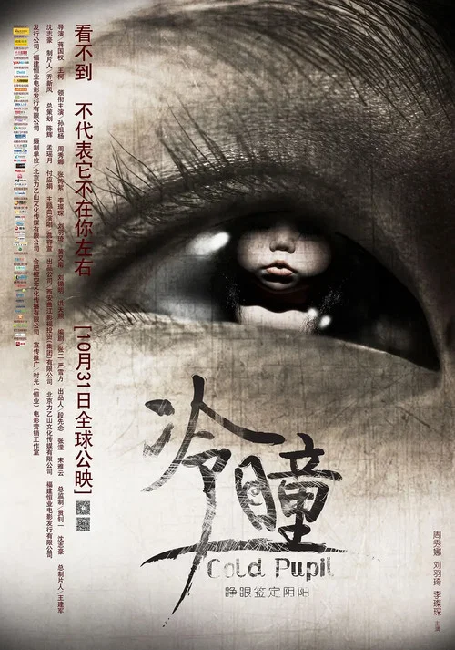 冷瞳(2013)海报