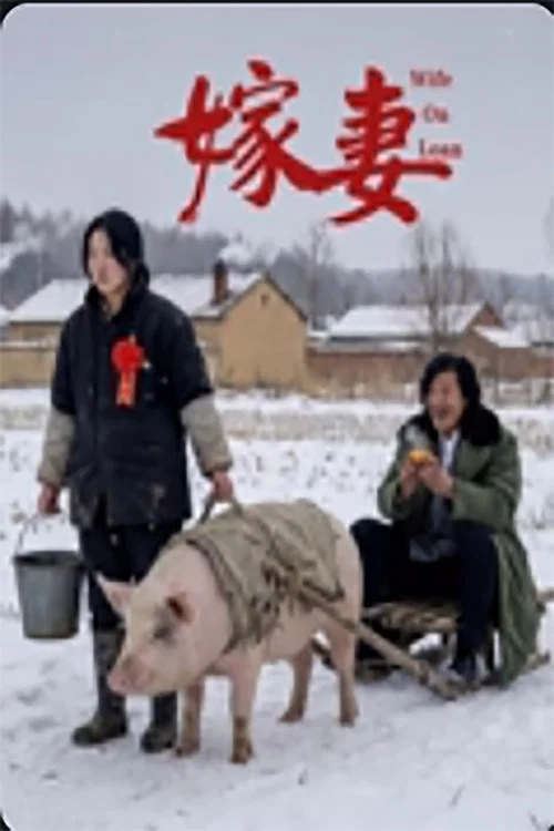 嫁妻(2026)海报