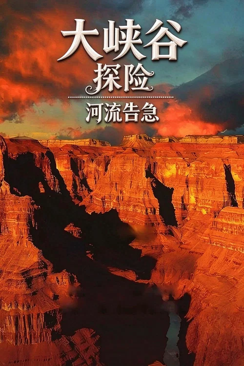 大峡谷探险之河流告急(2008)海报