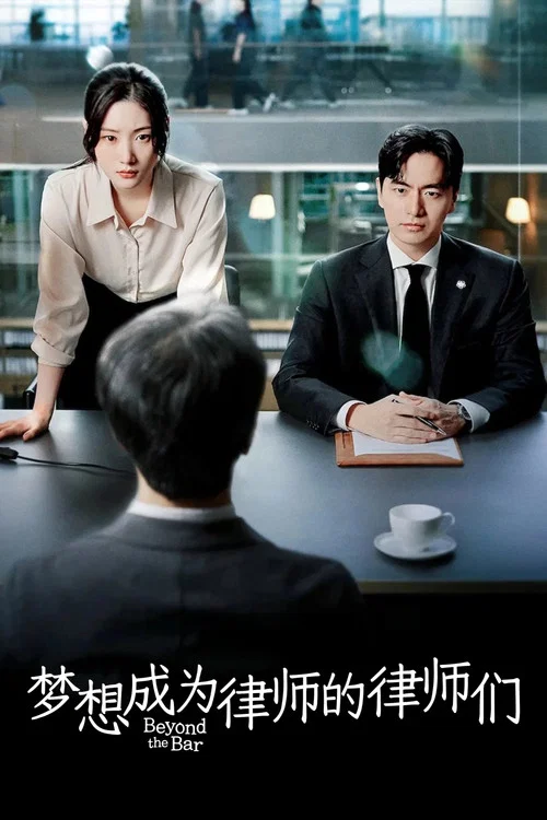 梦想成为律师的律师们(2025)海报