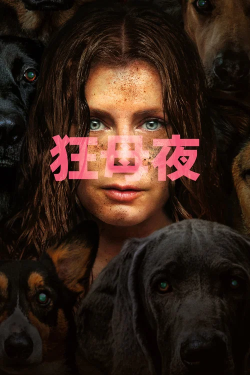 夜母(2024)海报