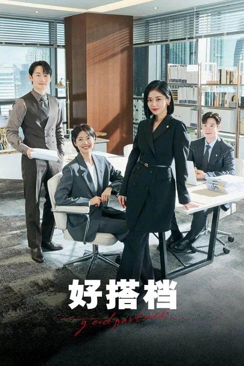 好搭档(2024)海报