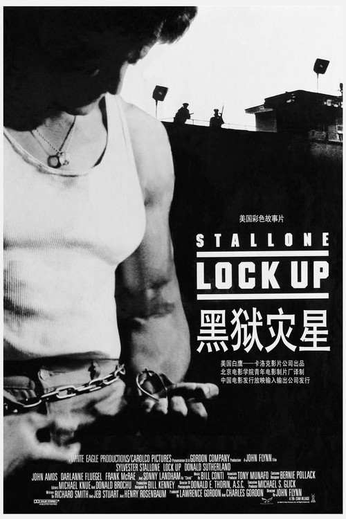 破茧威龙(1989)海报