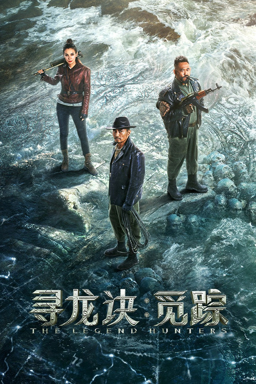 寻龙诀·觅踪(2026)海报