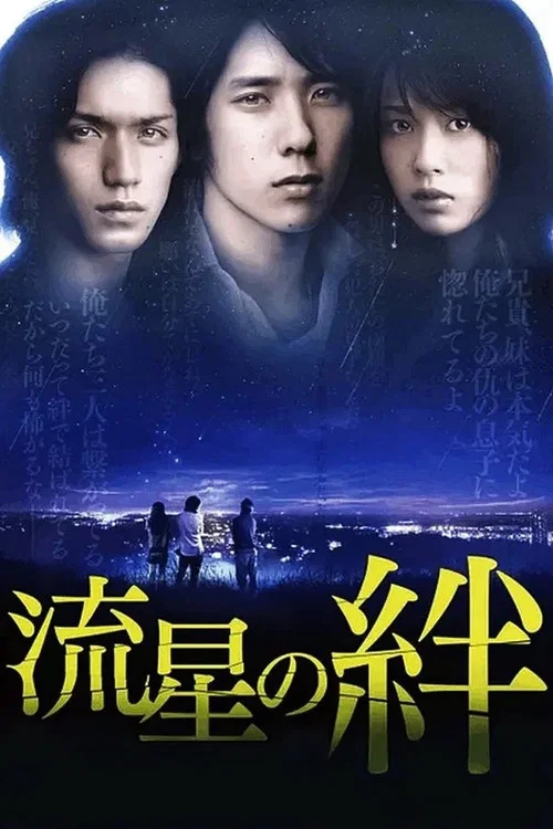 流星之绊(2008)海报