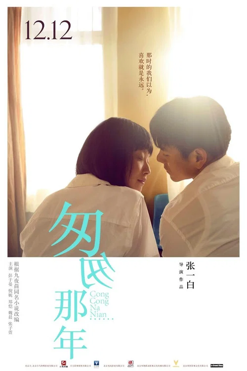 匆匆那年(2014)海报