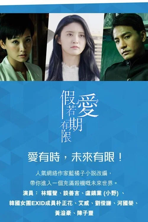 假如爱有期限(2018)海报