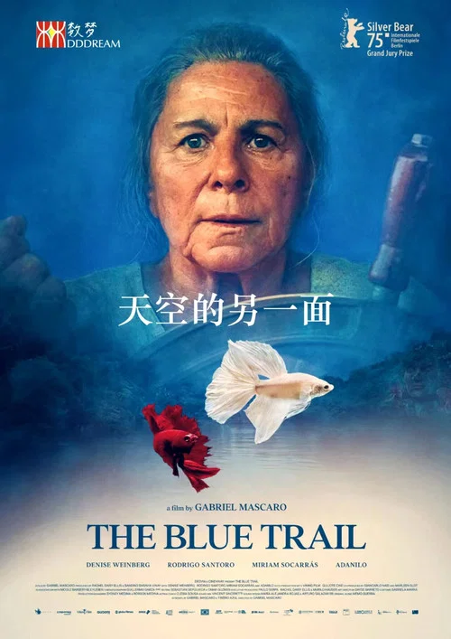 天空的另一面剧照2