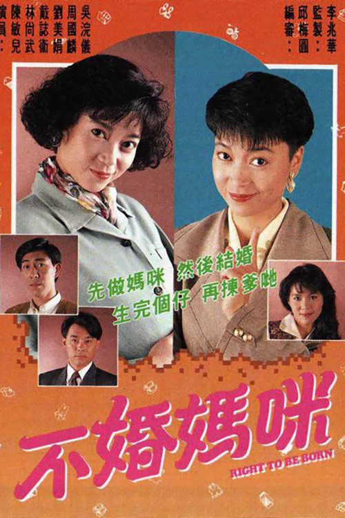 不婚妈咪(1991)海报