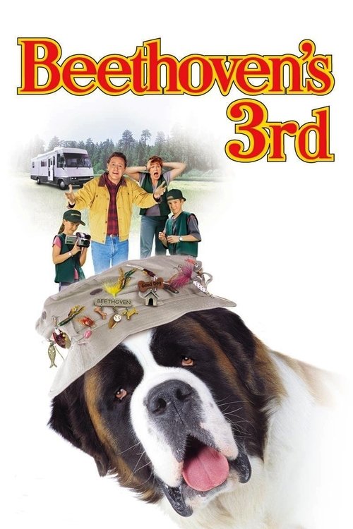 无敌当家3(2000)海报