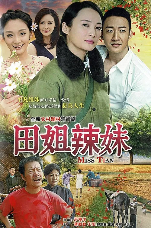 田姐辣妹(2017)海报