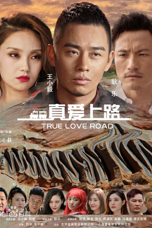 真爱上路(2026)海报