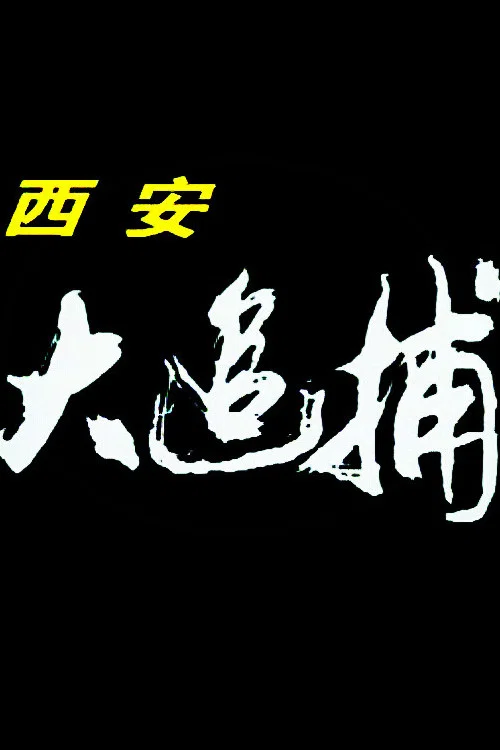 西安大追捕(1996)海报