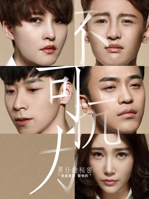 不可抗力之男仆的秘密(2016)海报