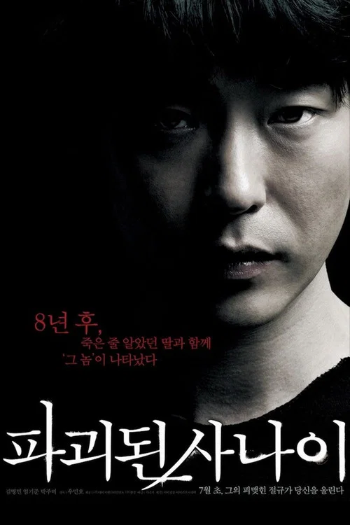 被破坏的男人(2010)海报