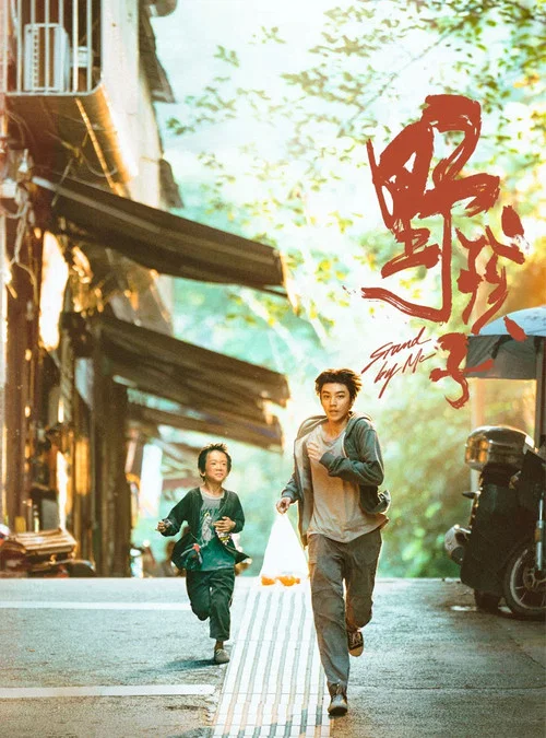 小小少年(2024)海报