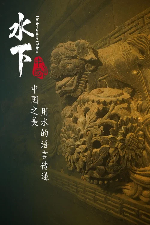 水下中国(2019)海报