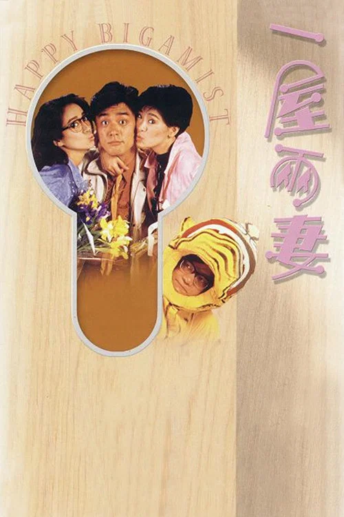 一屋两妻剧照3