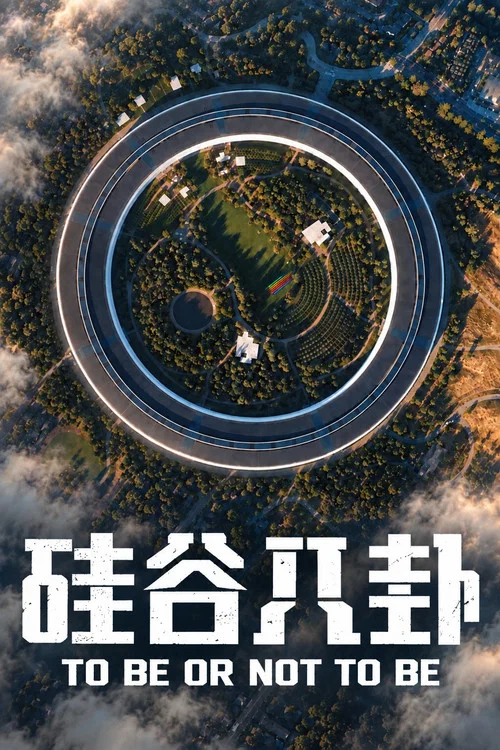硅谷八卦(2026)海报