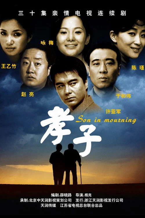 孝子(2006)海报