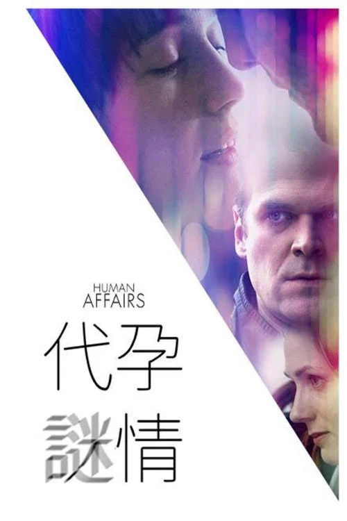 爱人孕事(2018)海报