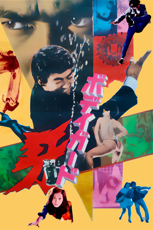 保镖(1973)海报