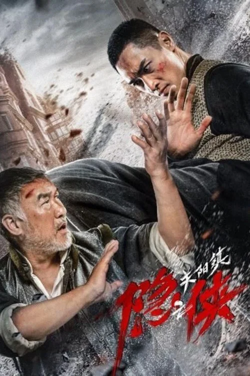 隐侠之关阳镇(2021)海报