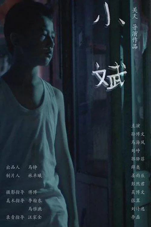 小斌(2018)海报