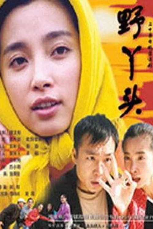 野丫头(2001)海报