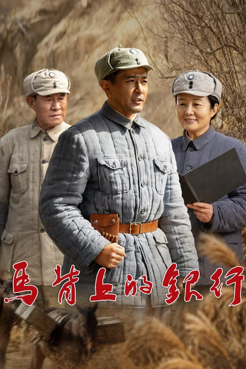 马背上的银行(2026)海报