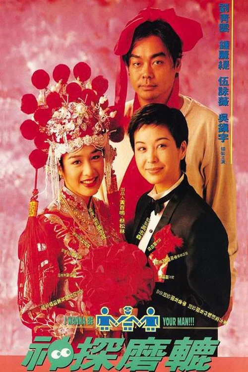 神探磨辘(1994)海报