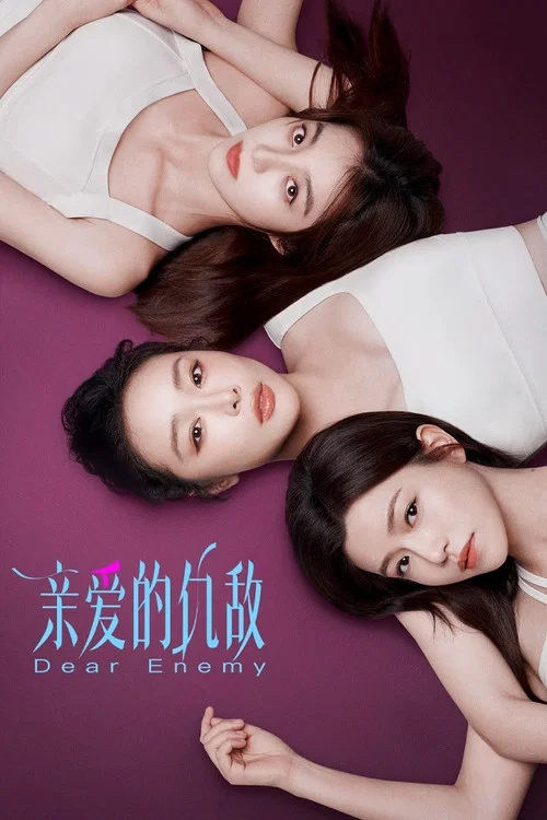 亲爱的仇敌(2025)海报