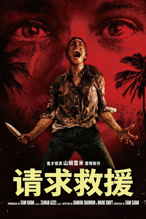 请求救援剧照5