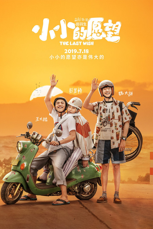 小小的愿望(2019)海报