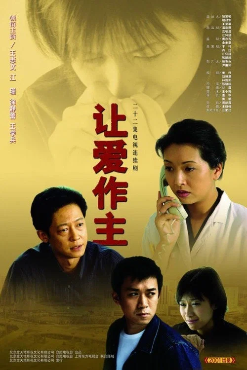 让爱做主(2001)海报