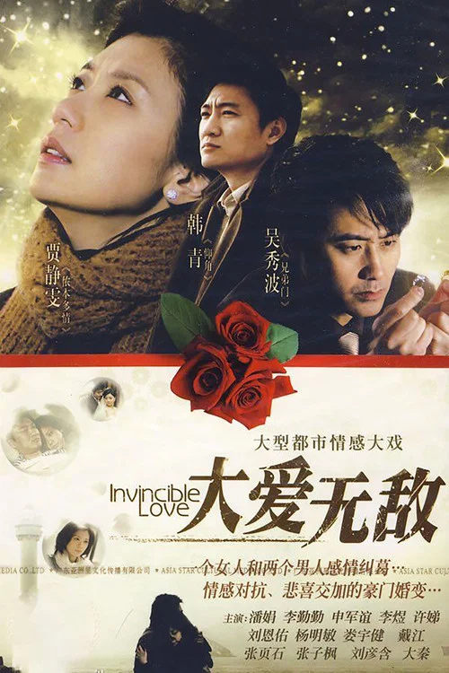 大爱无敌(2009)海报