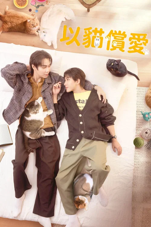 以猫饲爱(2026)海报