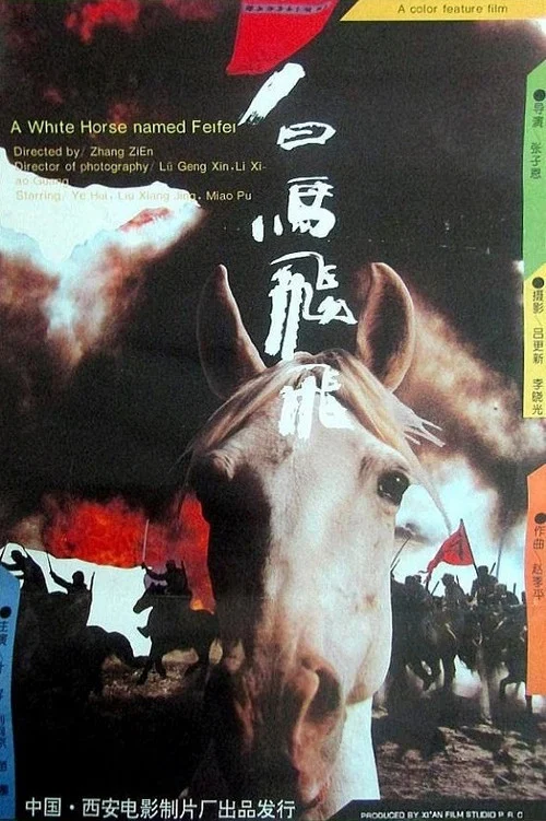 白马飞飞(1996)海报