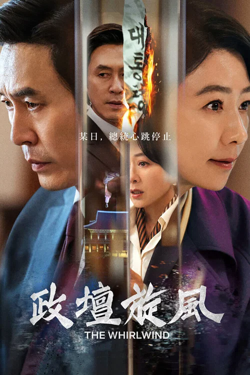 政坛旋风(2024)海报