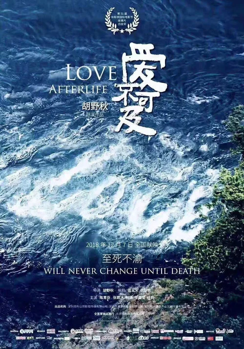 爱不可及(2018)海报
