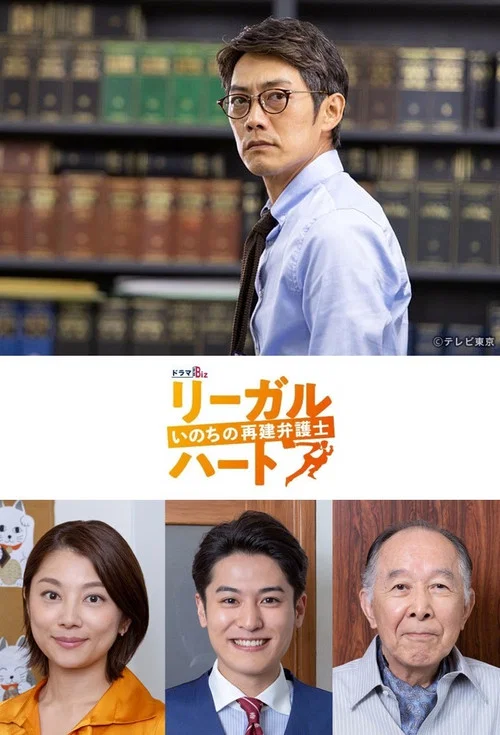 法律之心:重建生命的律师(2019)海报