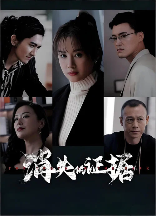 消失的证据剧照2